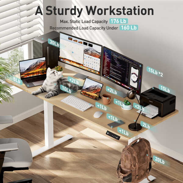 VVENACE Electric Standing Desk Height Adjustable Desk 48 x 24 inch 4 Memory Height Stand up Desk for Home Office, White