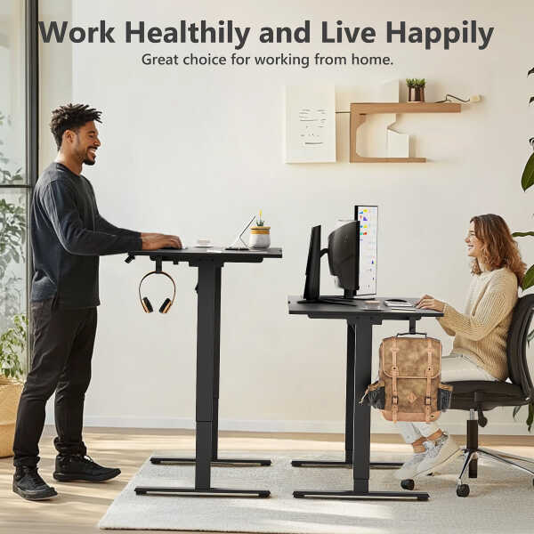 VVENACE Electric Standing Desk Height Adjustable Desk 48 x 24 inch 4 Memory Height Stand up Desk for Home Office, White