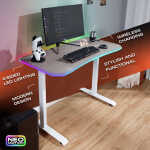 X Rocker Oka Adult Gaming Desk with RGB Lighting, White/Light Wood