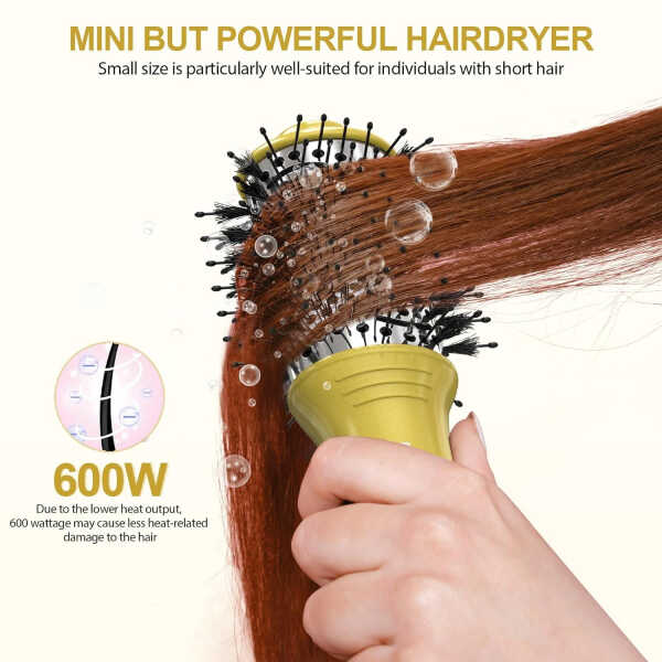 DAN Travel Hair Dryer Brush Nano Titanium Blow Dryer Brush Dual Voltage,Mini Oval Hot Air Brush,2 inch One Step Hair Dryer &